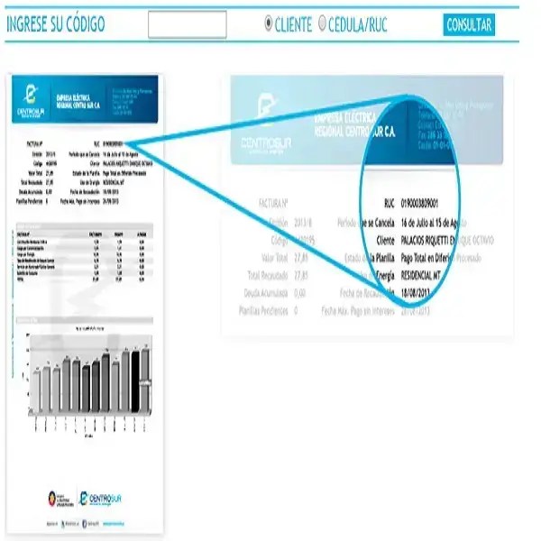 Consultar planilla de luz centrosur Cuenca 2024 ecu11