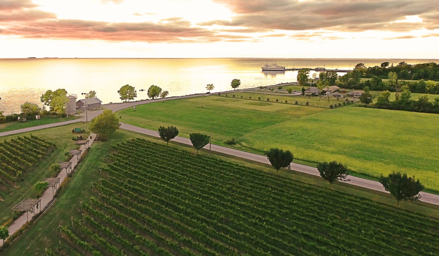 Pelee Island Winery & Pavilion
