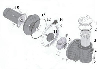 Onlinepoolshop.com : Pentair C105-238P Impeller Assembly Replacement