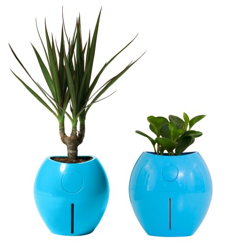 Basics of Growing Herbs in Containers Garden Planters