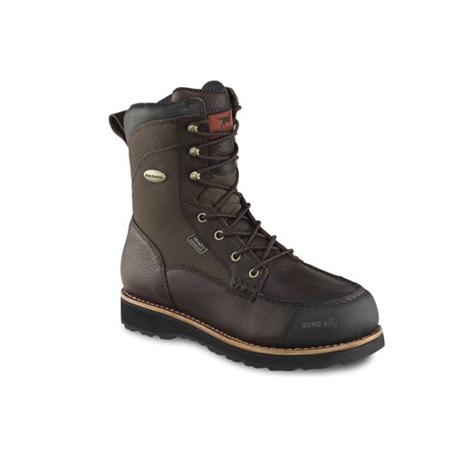 irish setter king toe