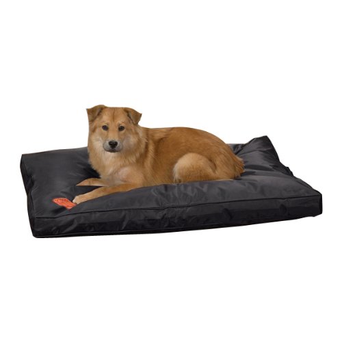 Indestructible Dog Beds