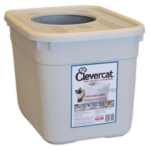 Kitty Litter Box Options