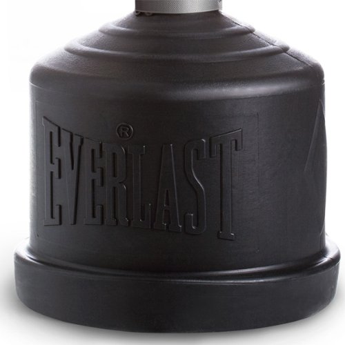 Everlast Free Standing Punching Bag Review Literacy Basics