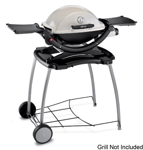 Weber Grill Qstand Weber 1 Burner Q2200 Gas Grill With Stand At