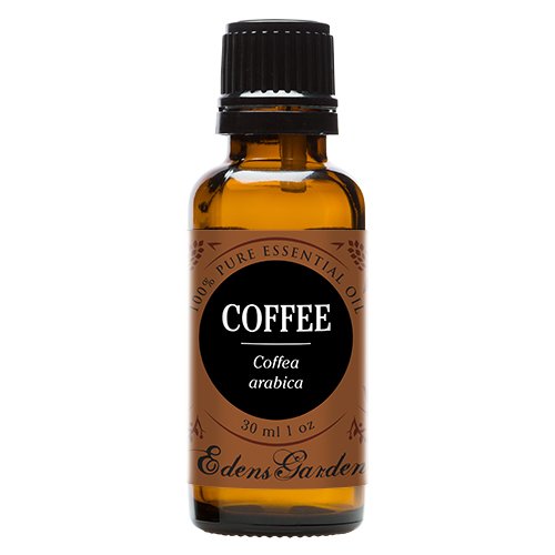 Coffee 100 Pure Therapeutic Grade Essential Oil by Edens Garden 30 ml