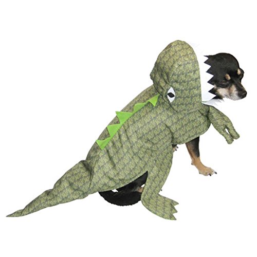 Dog Dinosaur Costume For Halloween Seasonal Holiday Guide