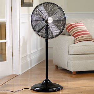 Amazon.com - Hunter Floor Stand Fan