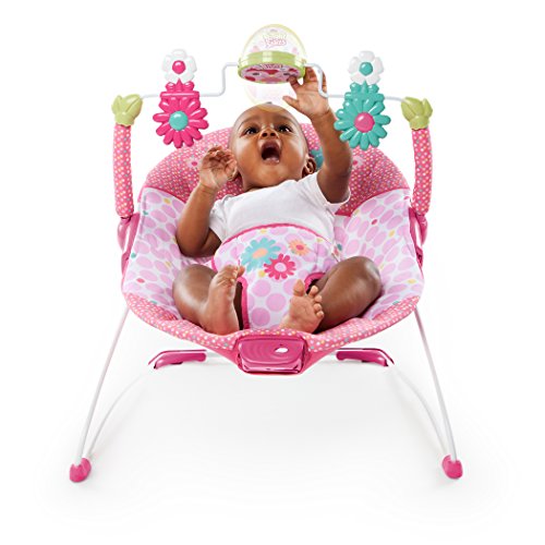 Baby Einstein Bright Starts Happy Tweets Bouncer Comfort Cradle Infant