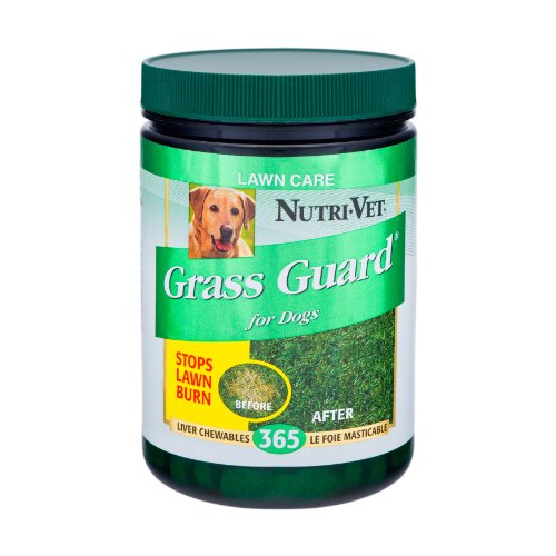 NutriVet Grass Guard Chewable Tablets for Dogs, 365 Count Price, Reviews, User Ratings