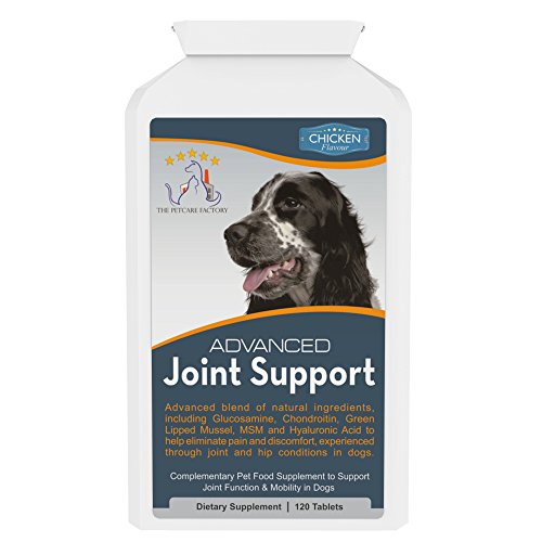 Advanced Joint Support Supplement For Dogs, With Powerful Glucosamine
