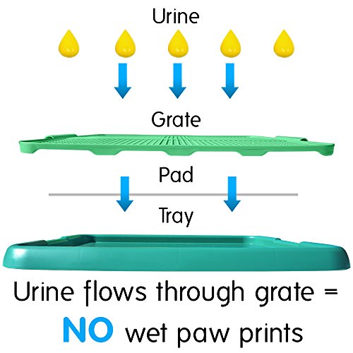 Dog Puppy Training Pad Tray Holder Indoor Pee Potty Pet Cat Floor