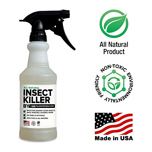 10 Nontoxic Pest Control Solutions That Work Family.