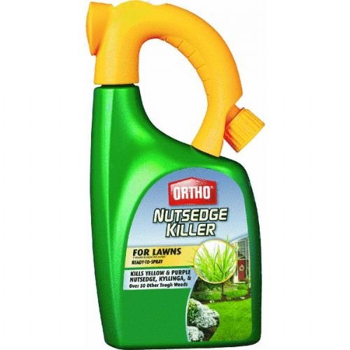 How To Control Nutsedge In Your Lawn Nutsedge Weed Killer