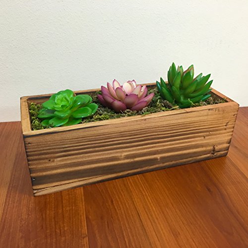 Top 10 Best Potted Artificial Faux Succulents Reviews 20192020 on