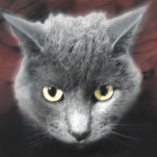 BASTARDS OF FATE Who's A Fuzzy Buddy CD **BRAND NEW
