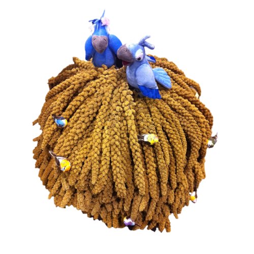 Where to buy Worlds Freshest Spray Millet 25 Pound Box Nemeth Farms the