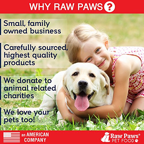 Raw Paws Pet Premium Freeze Dried Green Tripe for Dogs, 1pound 100