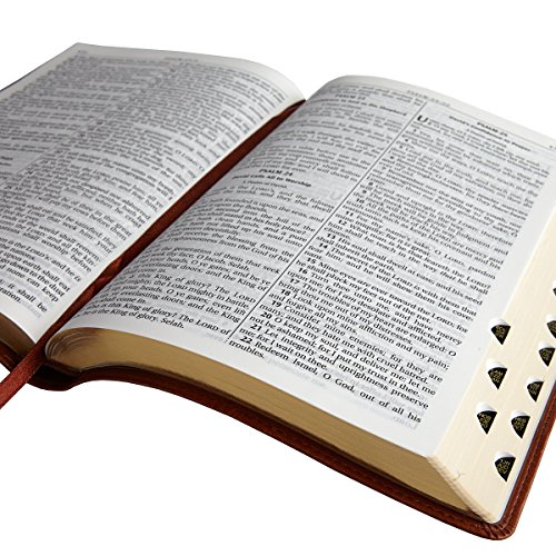 NEW Holy Bible KJV Large Print Thumb Index Edition Tan King James
