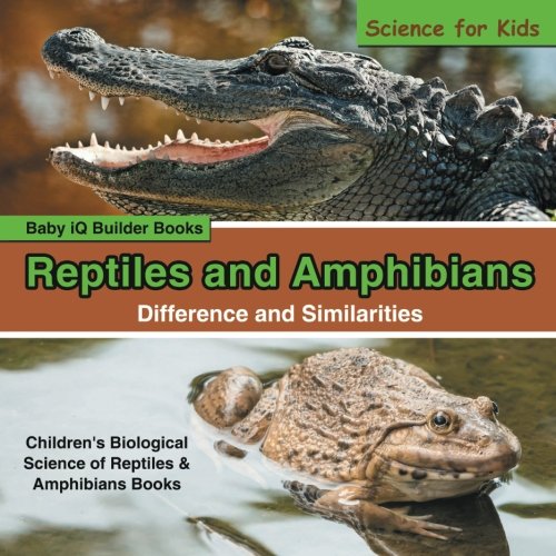 Reptiles and Amphibians Difference and Similarities