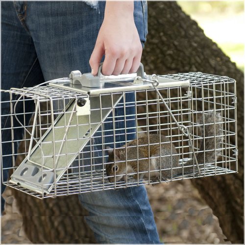 Havahart 1083 Easy Set OneDoor Cage Trap for Squirrels and Small