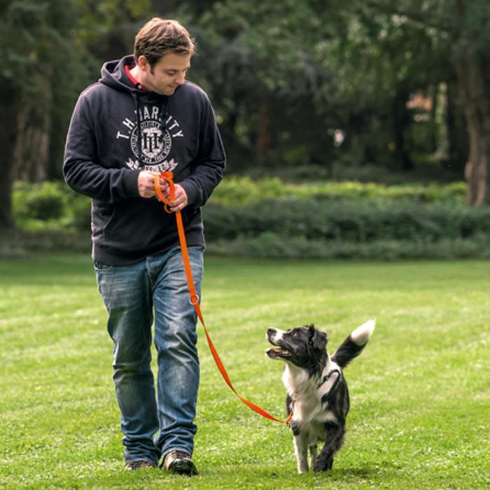 Hundetraining mit Martin Rütter: Rï¿½tter, Martin:.