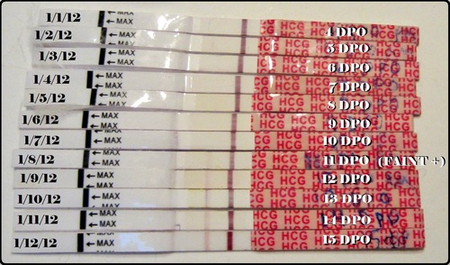 Wondfo Pregnancy Test Directions pregnancy test