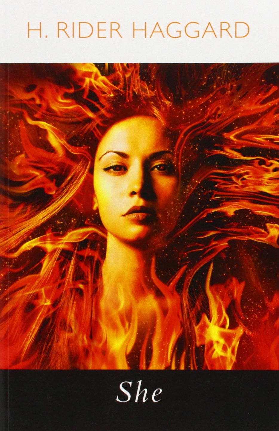 Art Collector The Illustrations Inspired by the 56 Novels of Henry