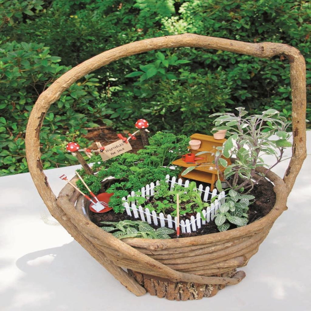 Samples Of Dish Fairy Gardens Ideas Photograph Gardens De