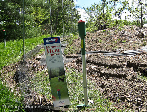 Amazon.com : Havahart 5250 Electronic Deer Repellent : Home Pest