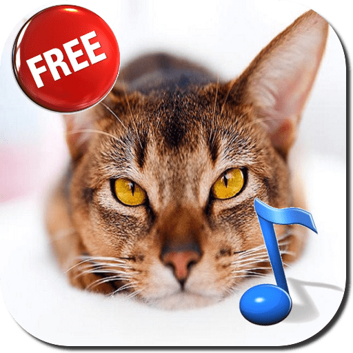 cats sounds book cute kitty animal Amazon.ca Appstore for Android