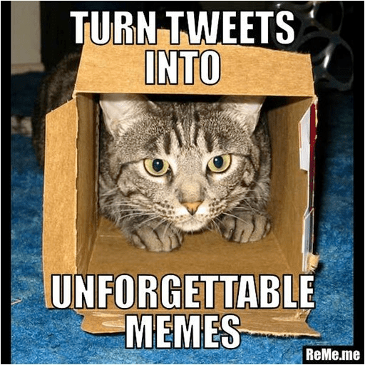 LOL CATS, The Victorian Influence?