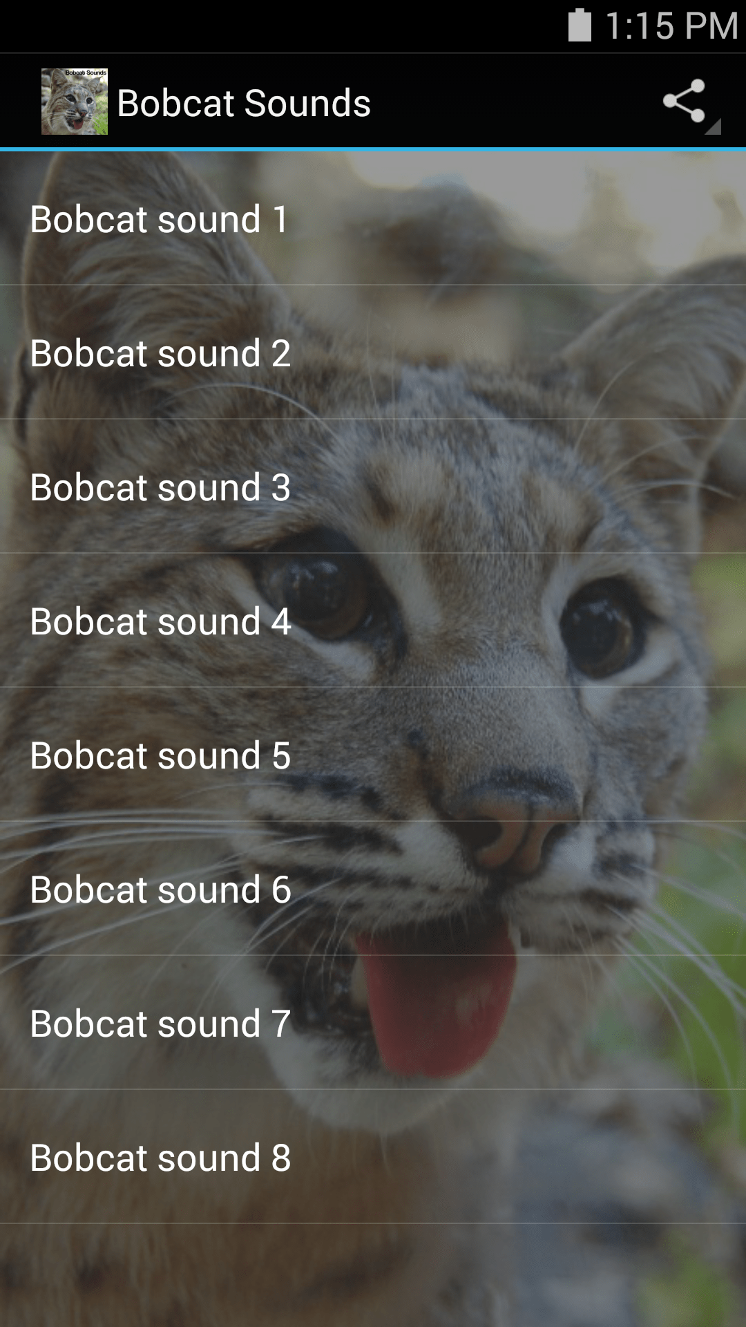 Bobcat Sounds Appstore for Android