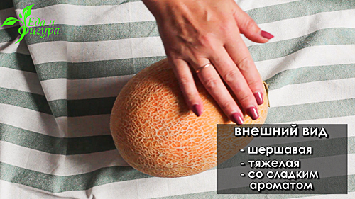 Фото 20: С чем нельзя есть дыню и почему? Дыня, ее…