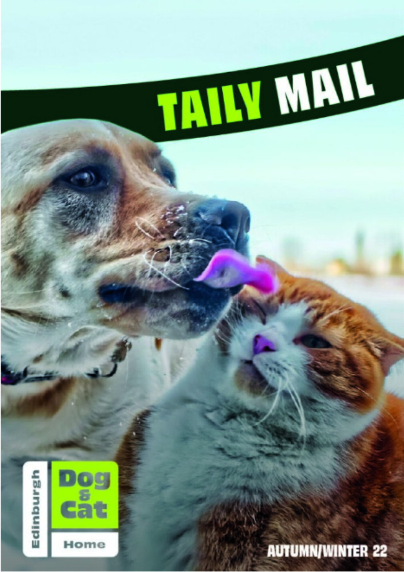 Taily Mail Edinburgh Dog & Cat Home