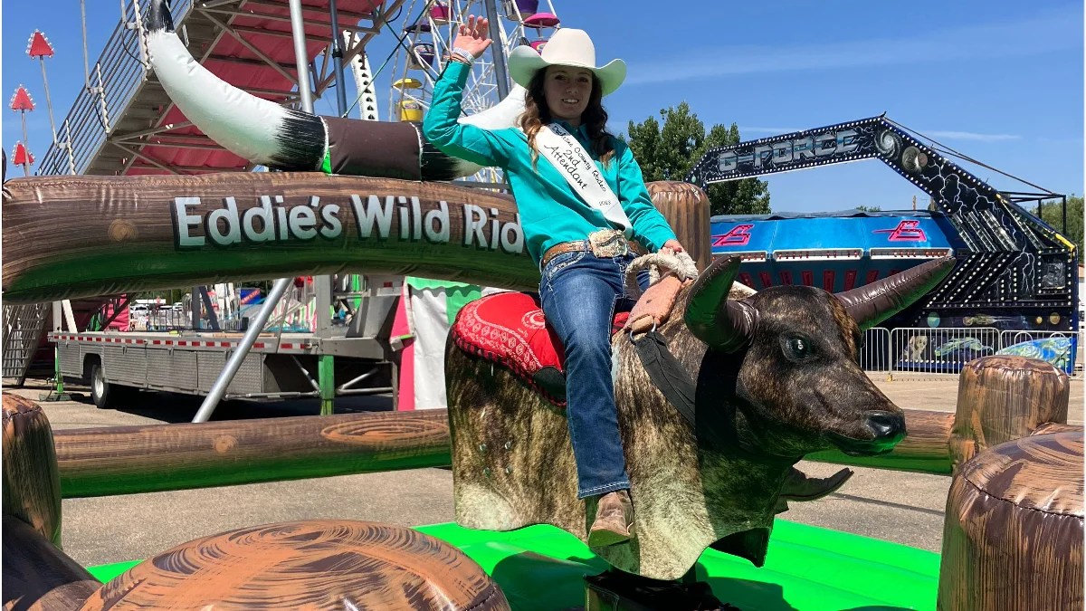 Features Eddies Wild Ride
