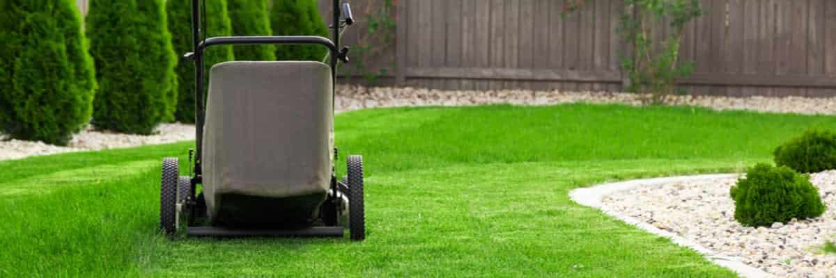 How Much Does Lawn Care Cost Per Month? eden
