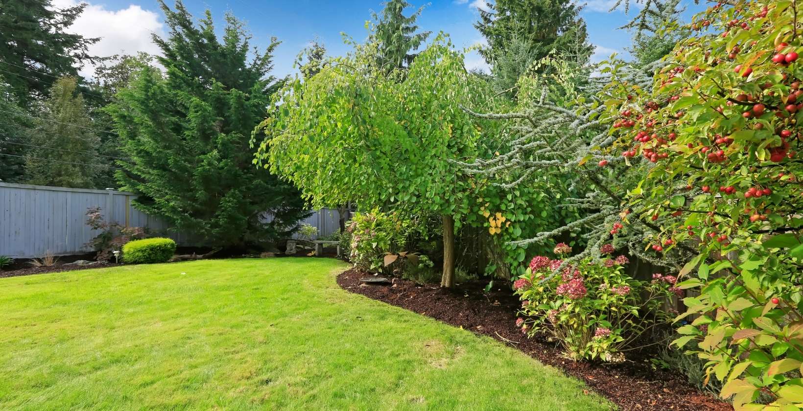 What Are Backyard Oasis For Landscaping Eden Lawn Care and Snow Removal