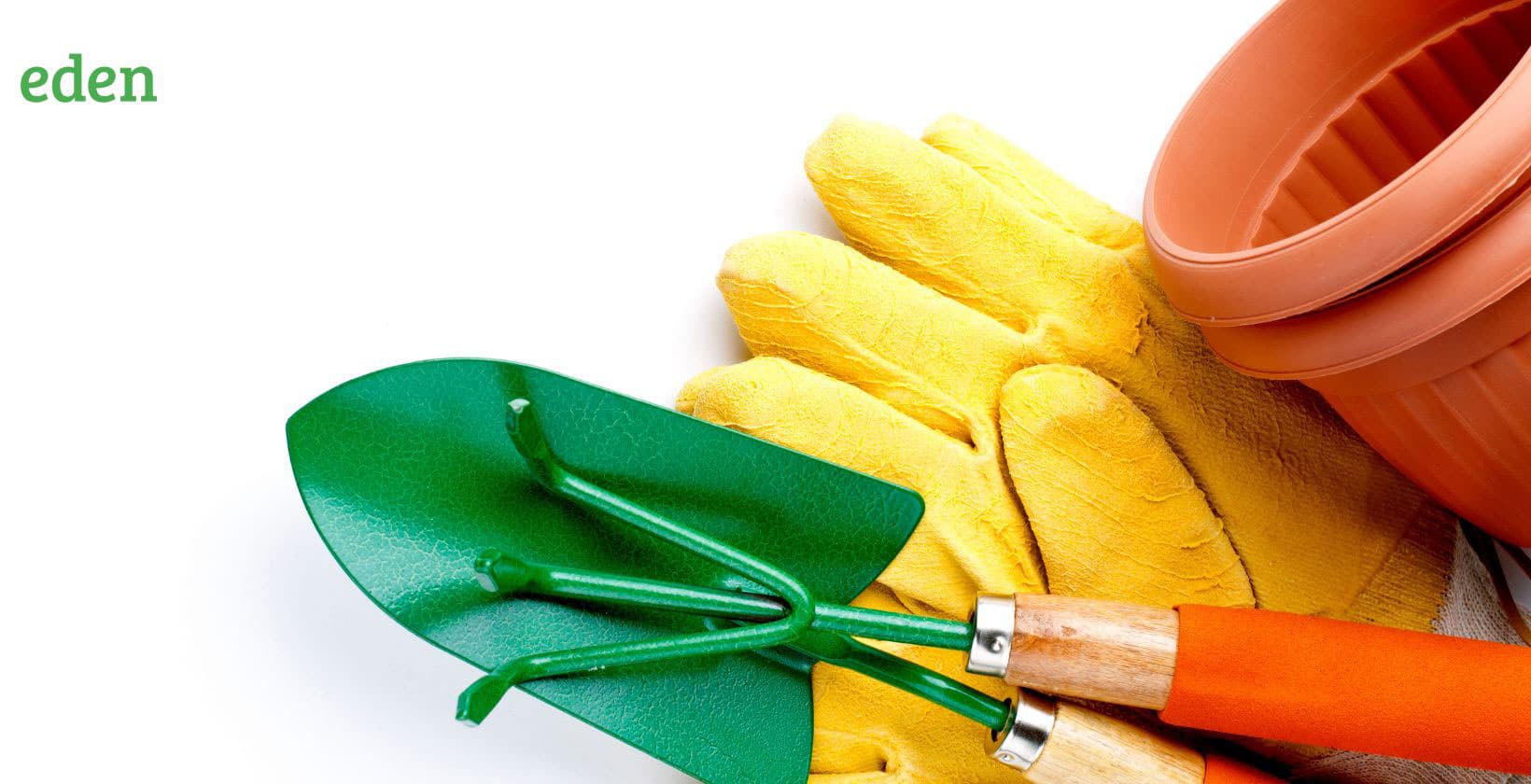 What Are The Best Tools to Remove weeds on your lawn? Eden Lawn Care