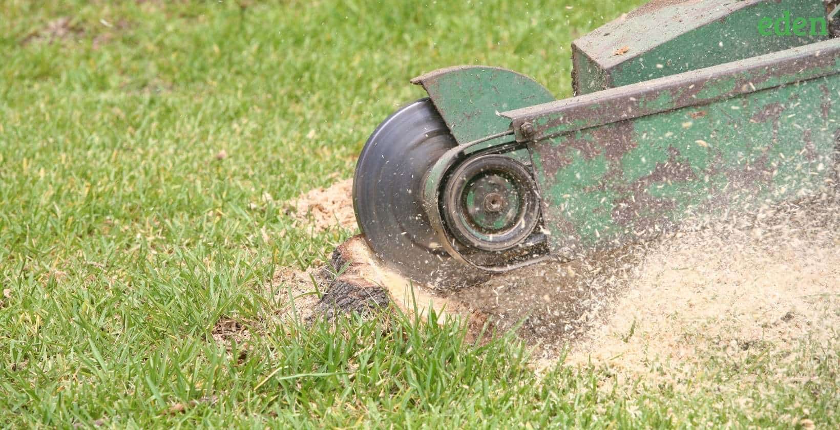 How much does Stump Removal cost? Eden Lawn Care and Snow Removal