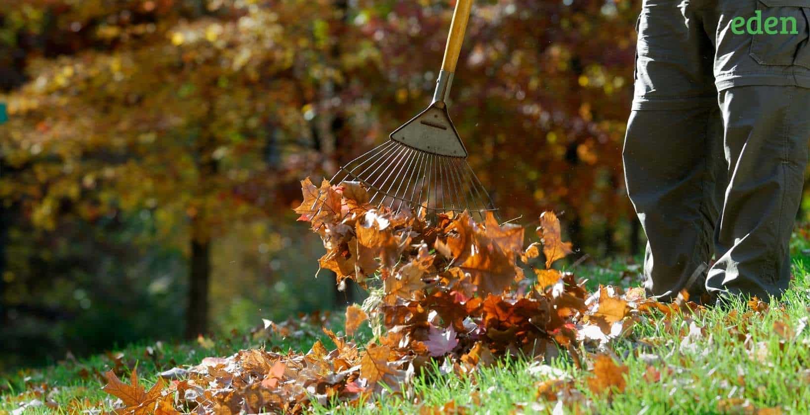 6 Best Power Rakes for Your Yards Eden Lawn Care and Snow Removal