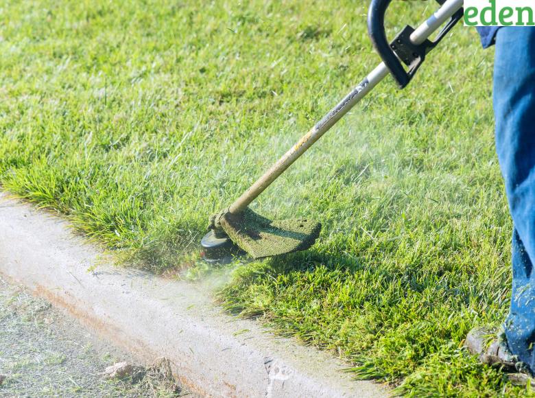 Lawn Care Equipment Maintenance in Summer Eden