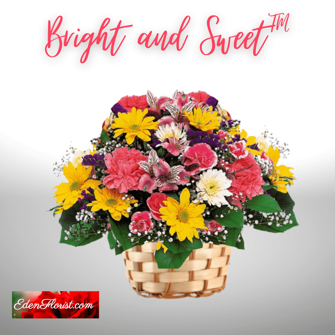 History of Chrysanthemums Eden Florist South Florida Flowers for
