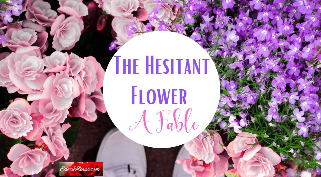 The Hesitant Flower A Fable Eden Florist South Florida Flowers