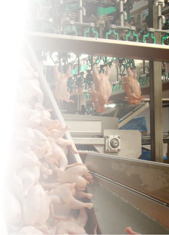 Eden Valley Poultry Inc. Our food processing operation has the latest