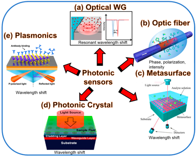 Photonic Sensors and Detectors From Fundamentals to CuttingEdge
