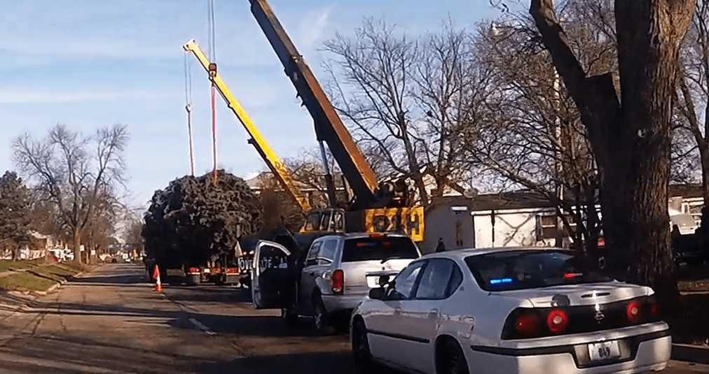 Illinois Leaks Christmas Tree Delivered to Edgar County Courthouse