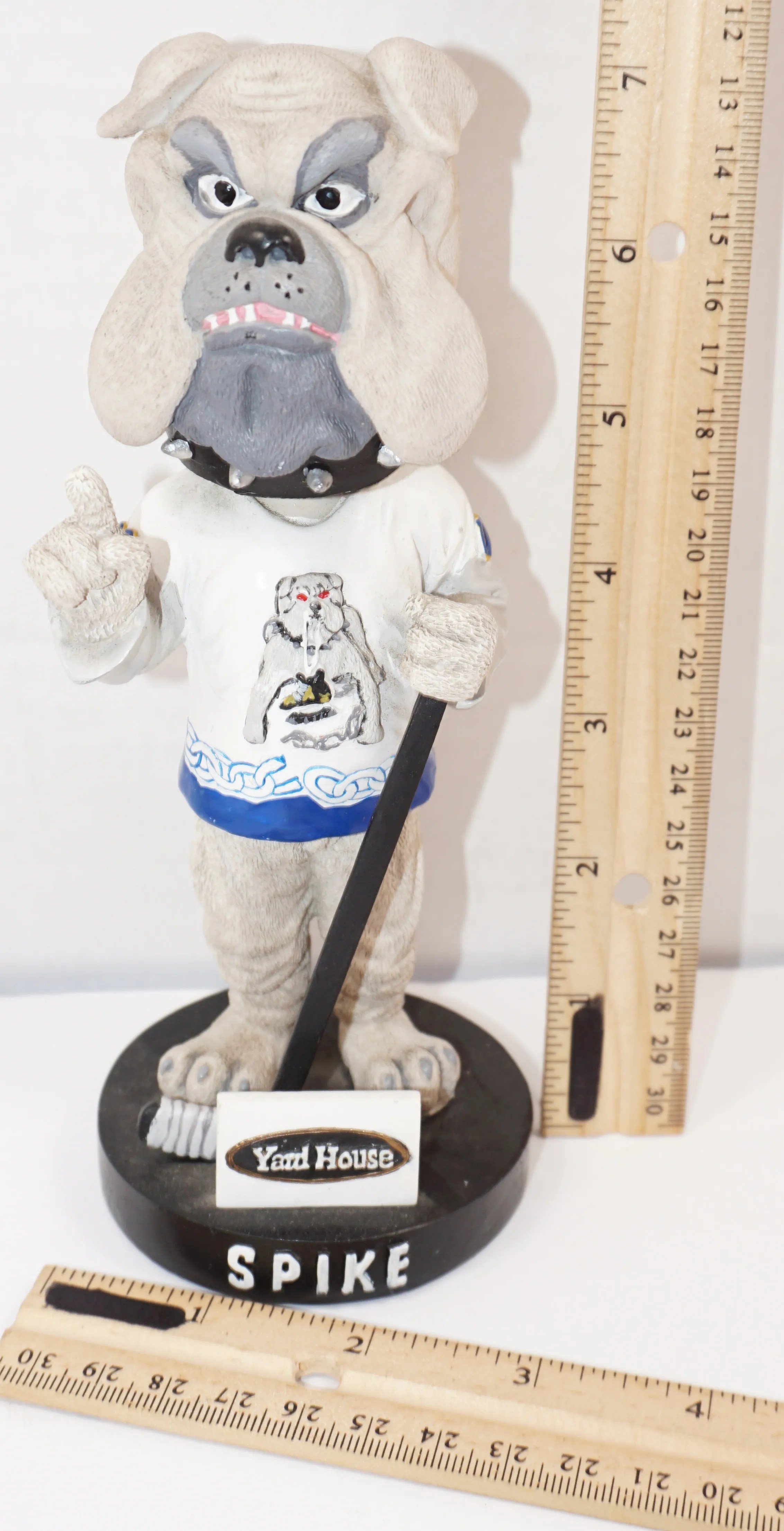 What Happened To The Long Beach Ice Dogs