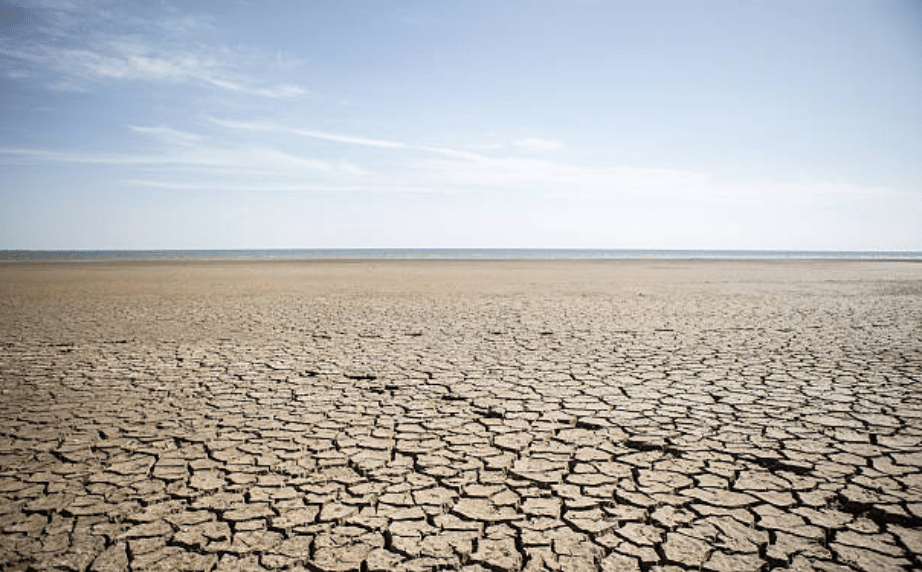 The Rough Guide to the Waste Land McSweeney’s Tendency