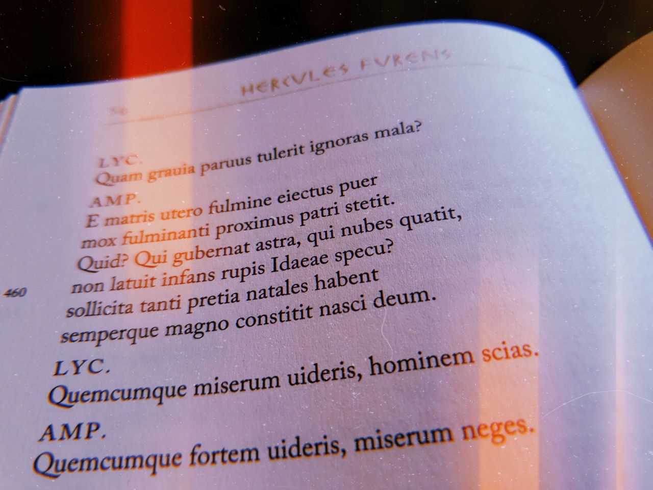 Discovering The Top 10 Oldest Languages In The World